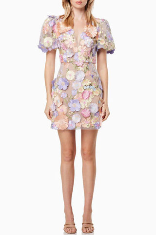 Garden Gala Embroidered Floral Applique Puff Sleeve Mini Dress